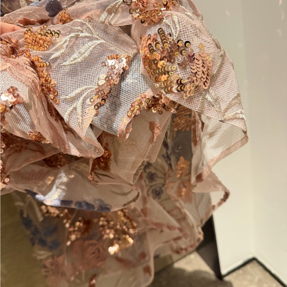 Bronx and Banco Blush Pink Maxi Gown with Blue Floral Embroidery - Picture 3 of 9
